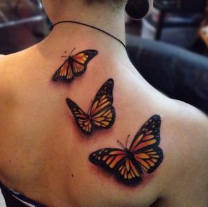 buttlerfly backtatuagem nas costas de borboleta tattoo