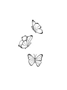 Borboleta em voo (Pinterest)