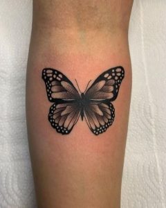 borboleta