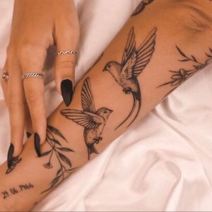 pássaros tatto