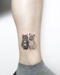 animais