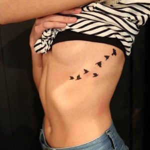 aves