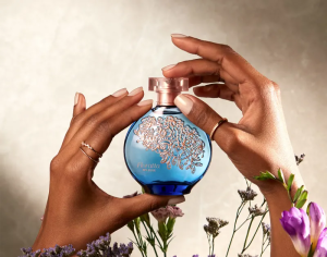 fragrâncias boticário femininas Floratta My Blue