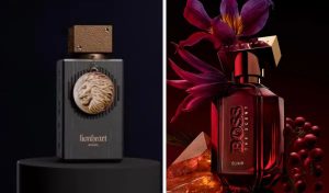 Perfumes tendências 2025 notas picantes