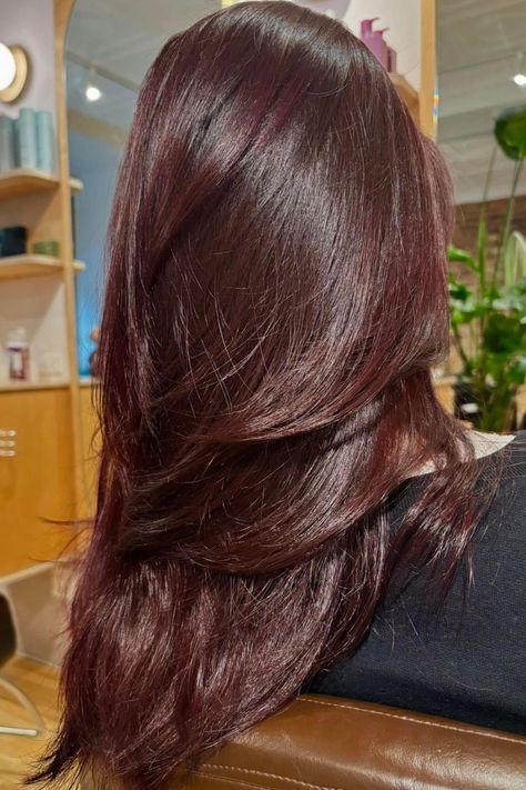Deep Auburn